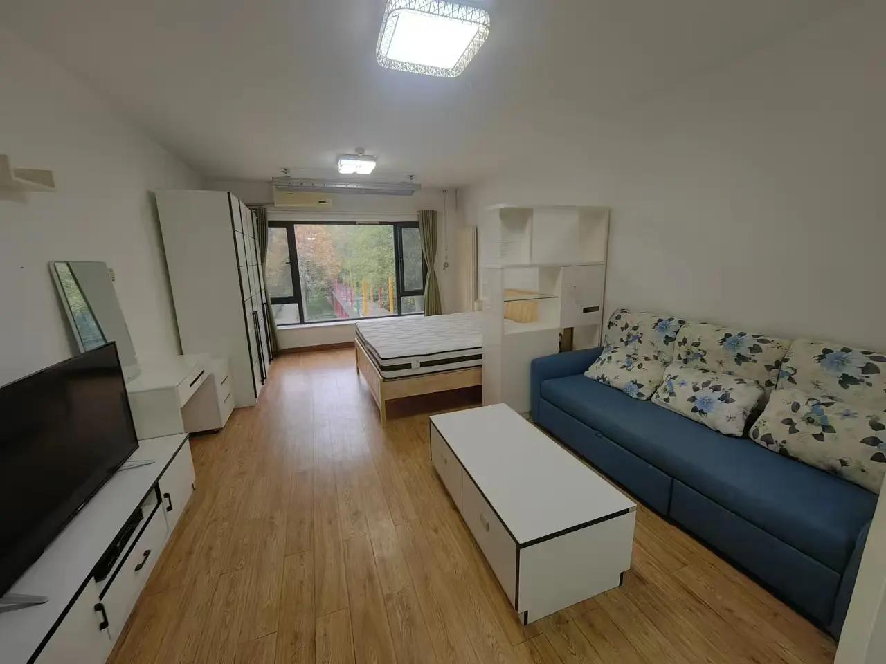 Dawanglu, Sunshine 100 International Apartment, 1bd